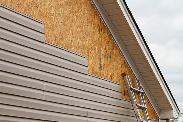 Professional Siding Repair technician working in Springfield, VA